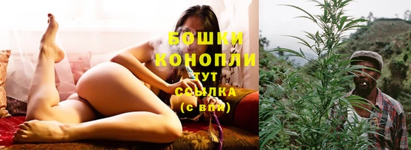 соль ск Семёнов