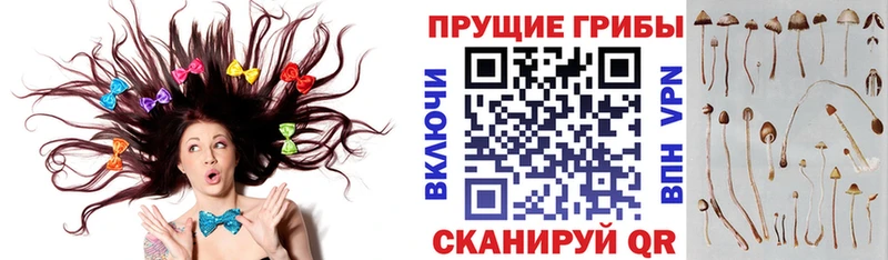 Псилоцибиновые грибы прущие грибы  Артёмовский 